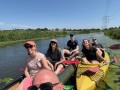 IMG 2221
