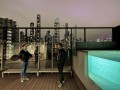 IMG 4289
