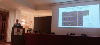 IMG 8813